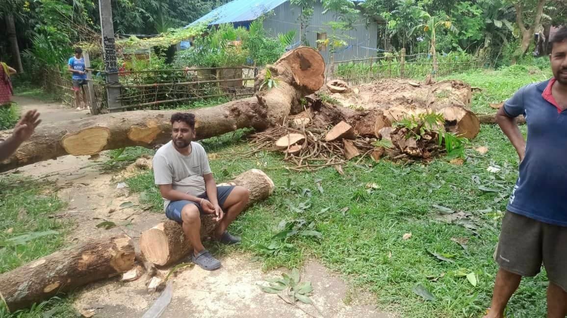 Ranger of North 24 Parganas issued permission to chop the trees in exchange of minimum price allegedly gnr 