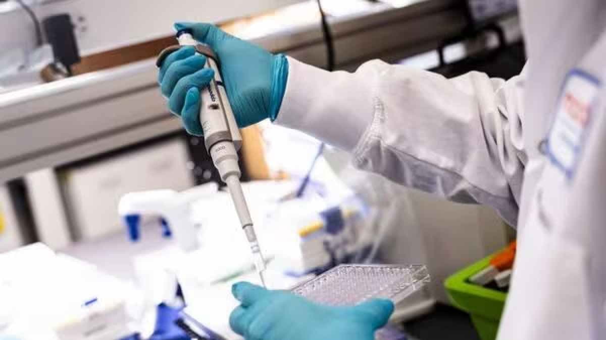 Another HMPV case was reported in Mumbai on Wednesday gnr