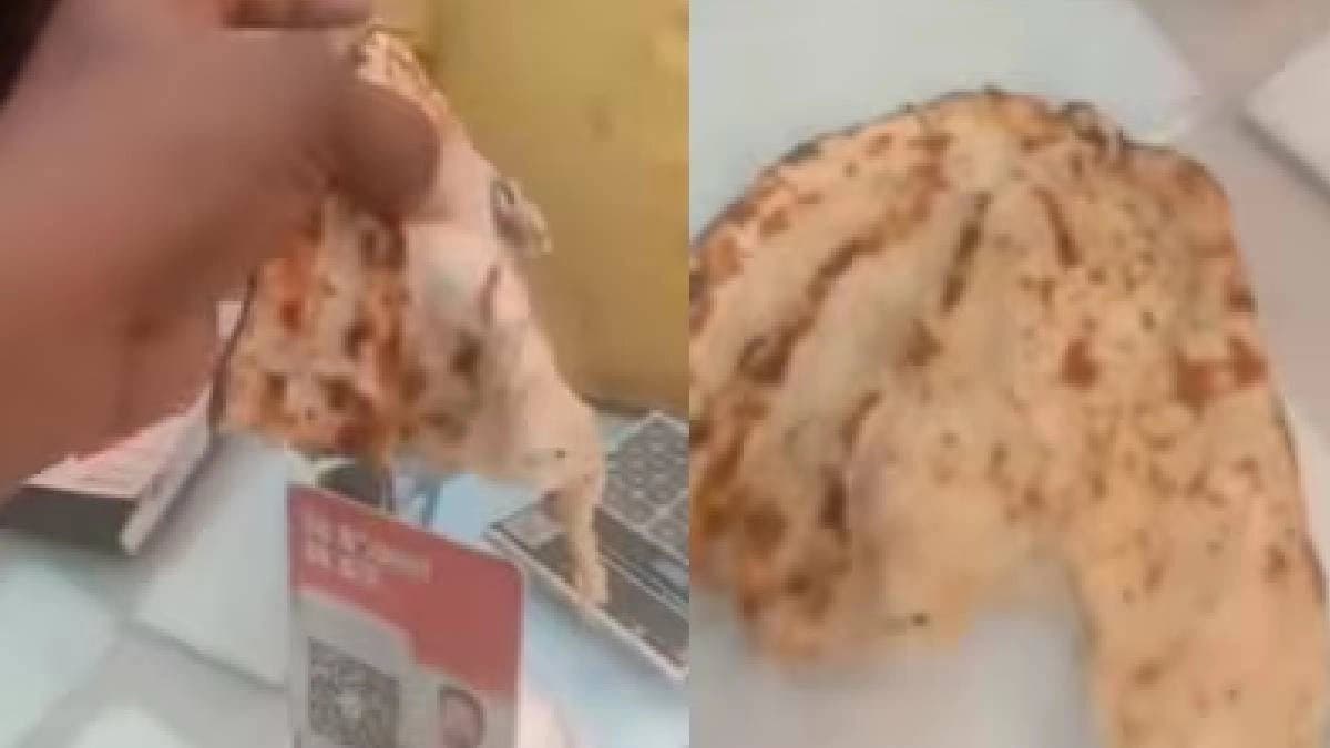 Lizard Found Baked Inside Tandoori Roti At Kanpur Dhaba