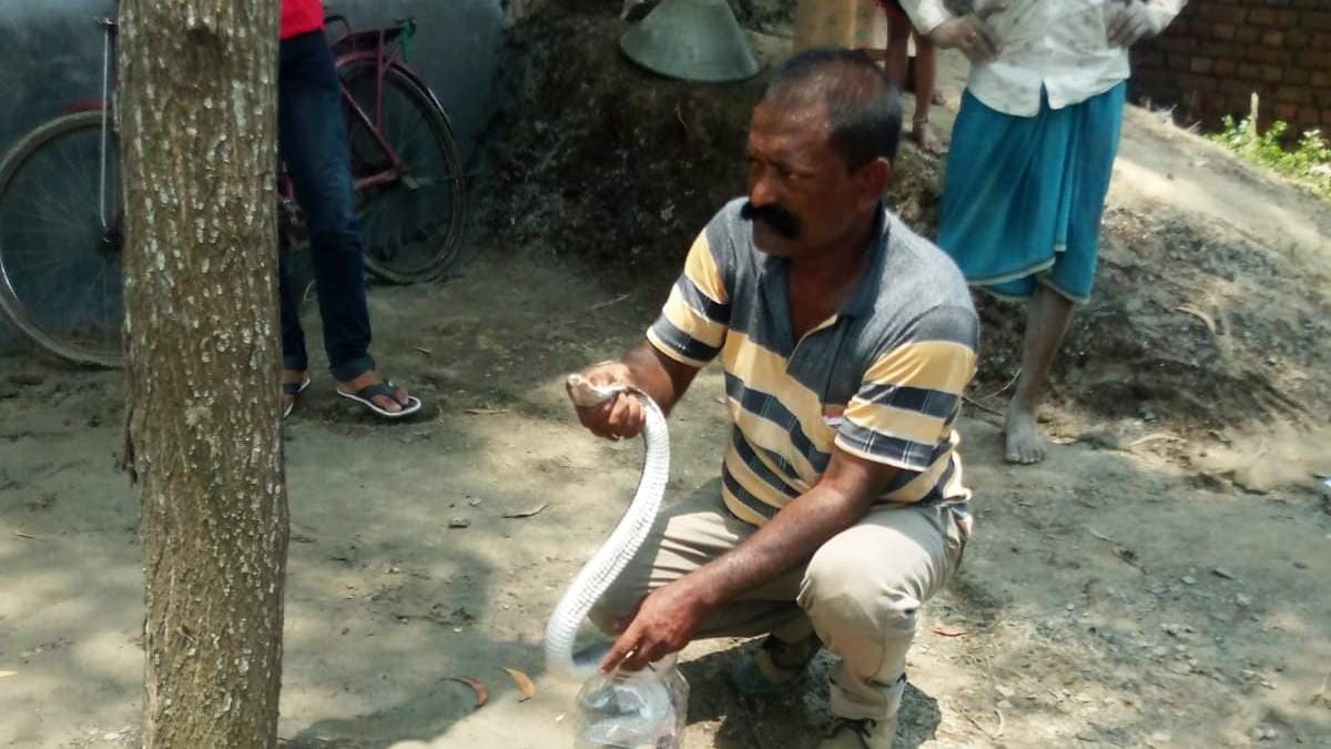 West Midnapore administration engaged snake catcher in inundated areas