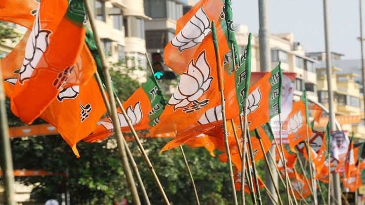 BJP made committee before loksabha election