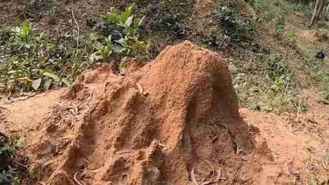 Two Arrested After Man Killed For Extra Marital Affair