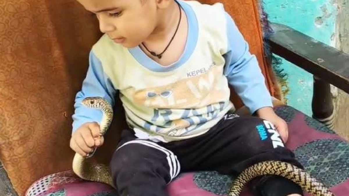 child playing with a snake viral video 