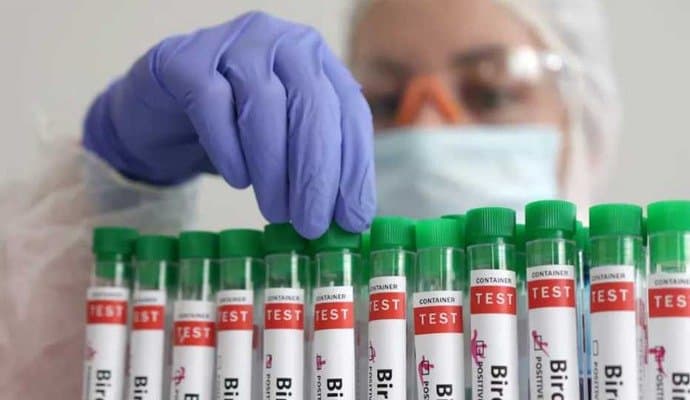  4-Year-Old Girl Tests Positive For Bird Flu In West Bengal, second Case In India 