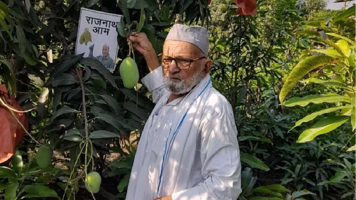 Meet Mango Man of India whose Loves to eat Aishwarya Mango and He Made Hybrid Mangoes