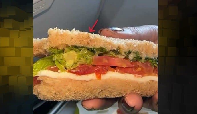 Woman Finds Worm In Sandwich On  Flight