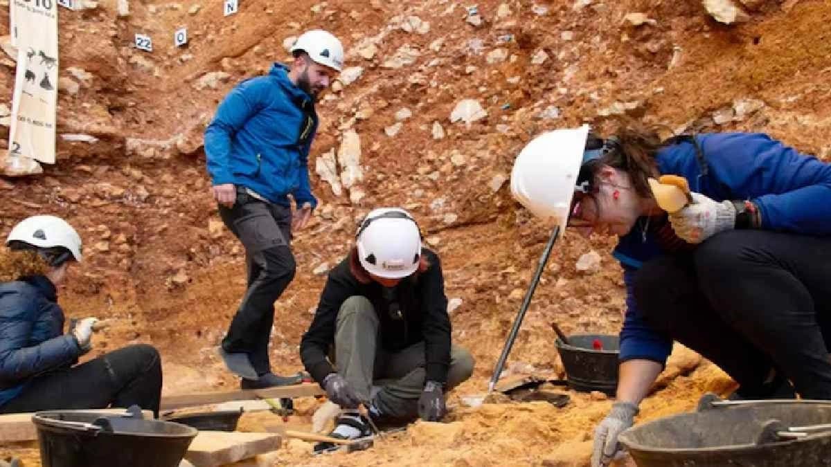 Ancient Humans Ate Children 850000 Years Ago New Discovery Reveals