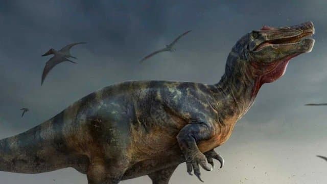  200 Million Year Old Dinosaur Footprints Found In Australia School