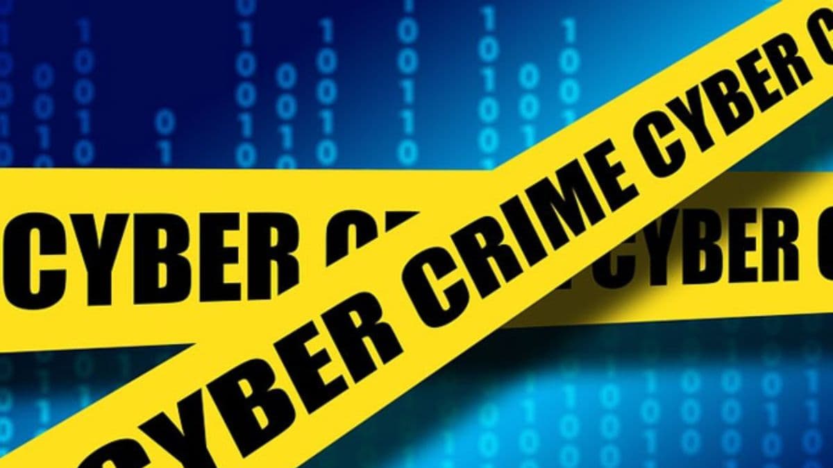 cyber scamsters pose as custom officials gnr