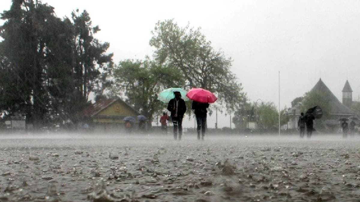 IMD weather update: heavy rain in several districts