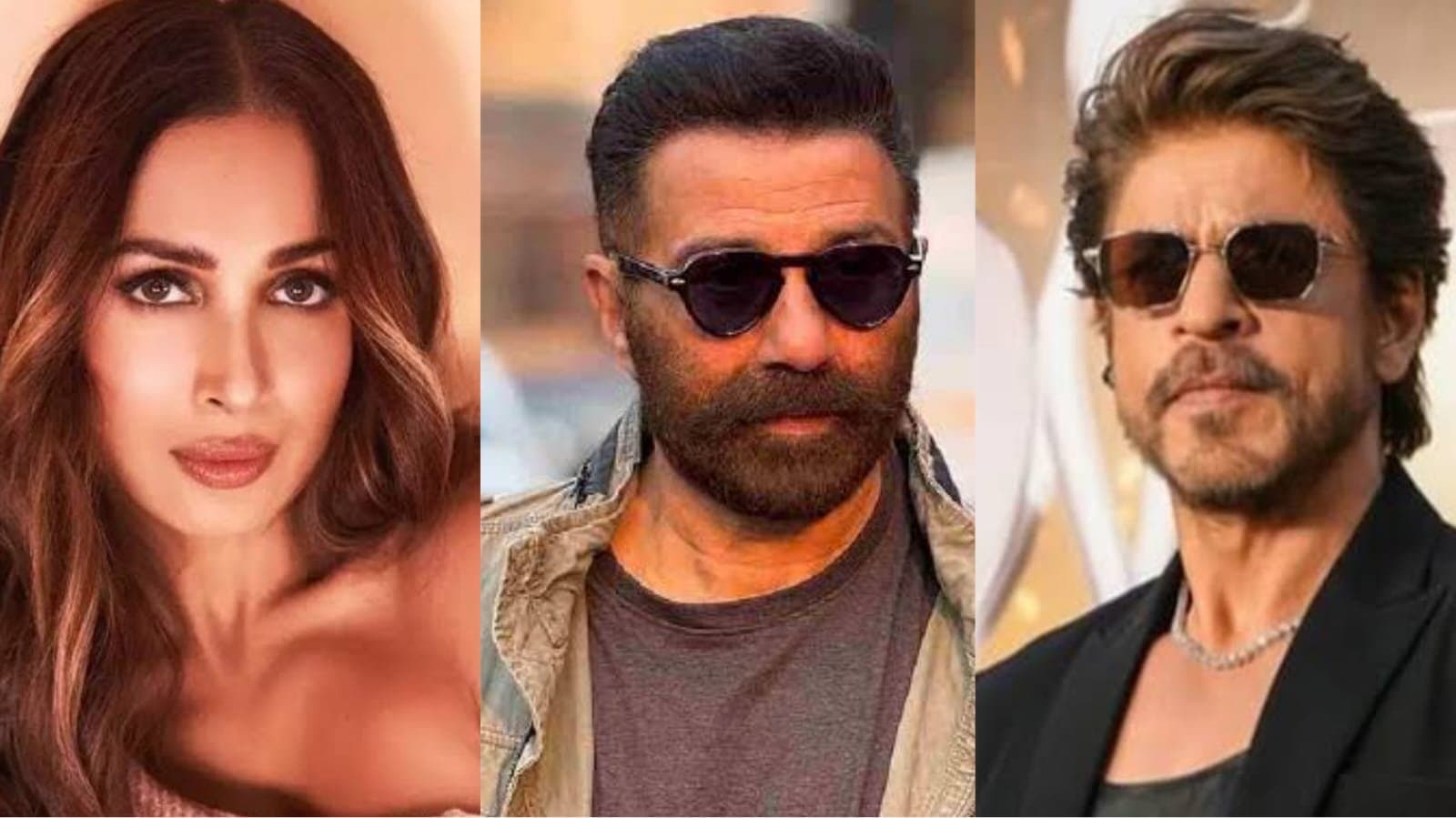 Court re‌ issues warrant against Malaika Arora after 30 years Sunny Deol ready to work with Shah Rukh Khan 