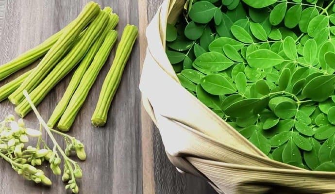 From bone health to improving nervous system, moringa leaves have amazing health benefits