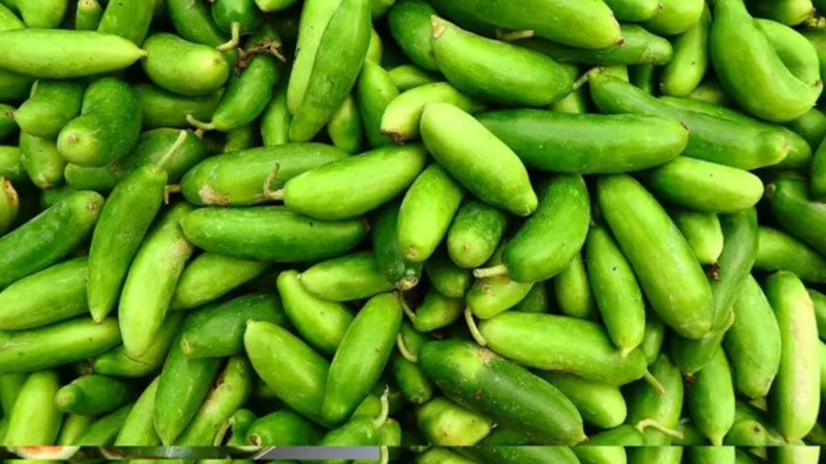 Nutrient Powerhouse kundri rich iron powerhouse