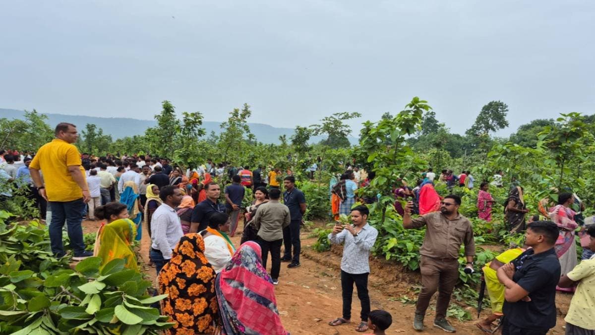  5000 trees cut down for Adani-operated coal mines in Chhattisgarh