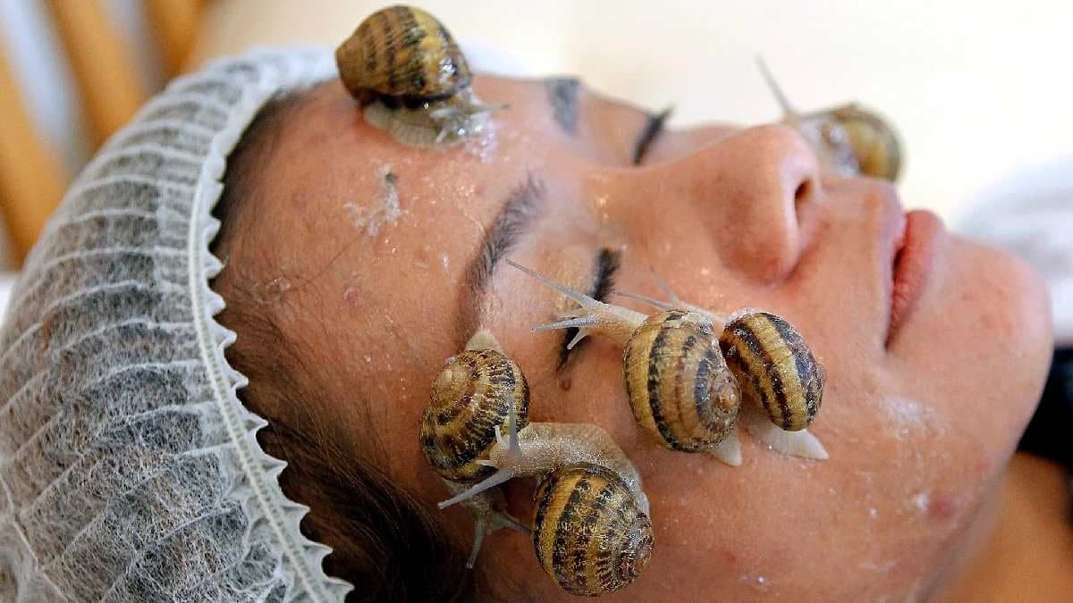 Snail facial was a popular Beauty Trend in Fashion World