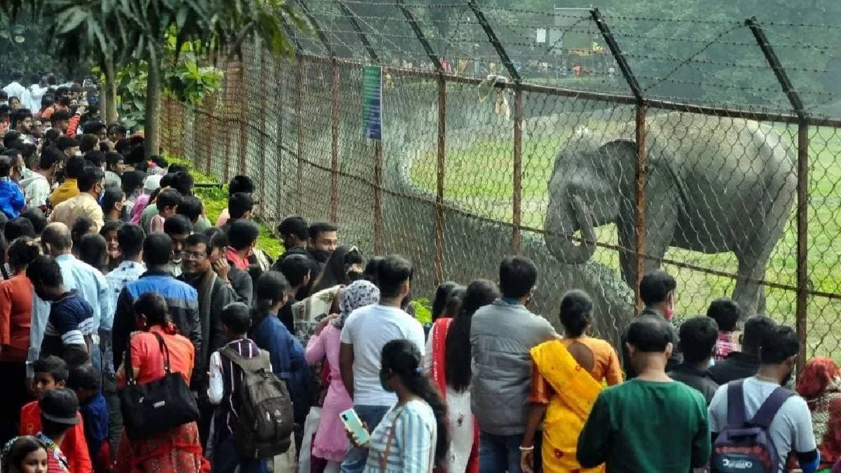 Alipore zoo witnessed record thronging on 2024 december