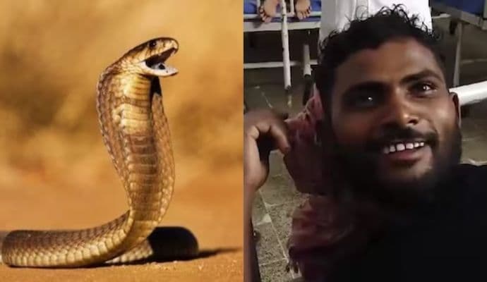 Snake bites man, man bites back