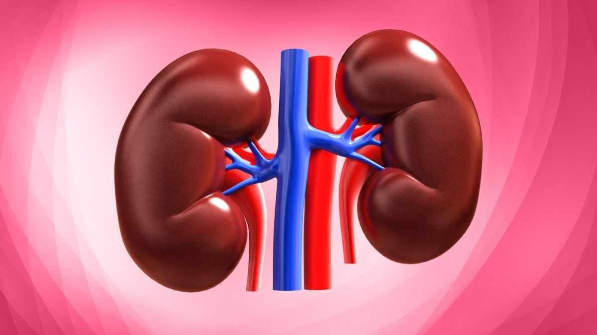 Foods you should never eat if you have kidney issues