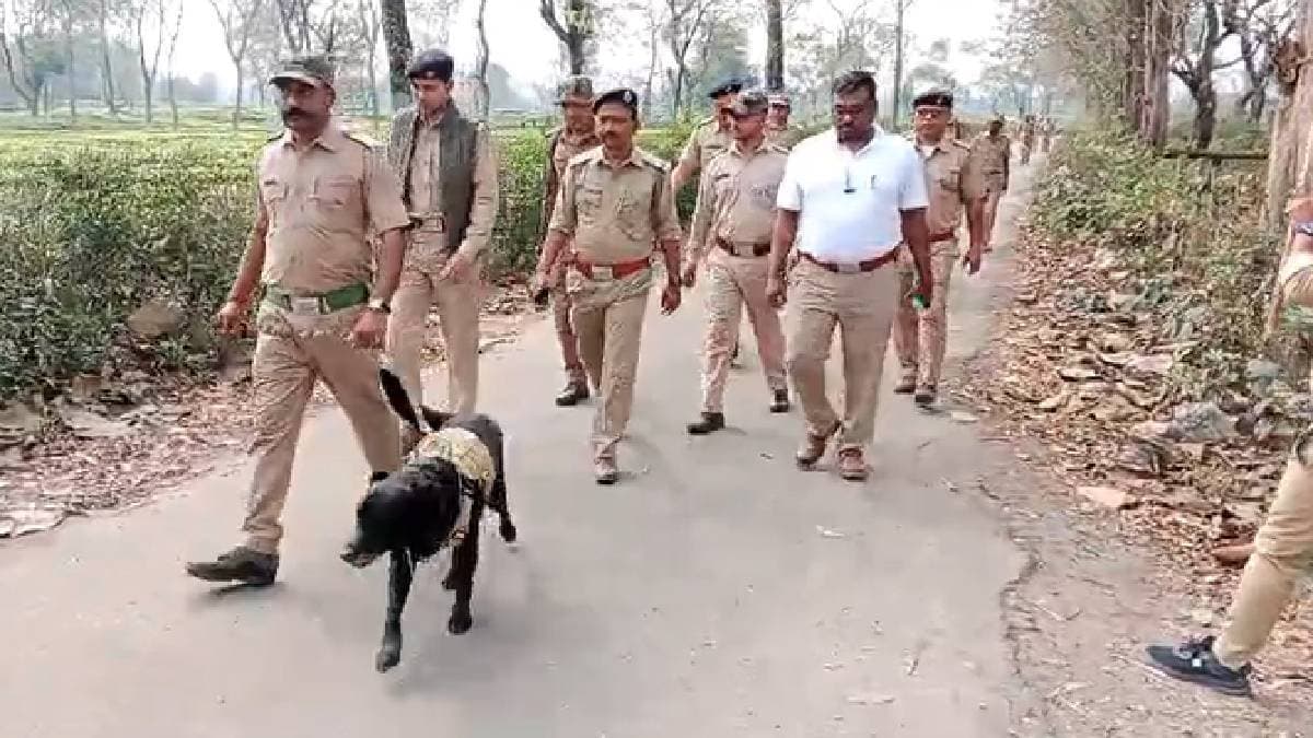 Security has been tightened in the Dooars forests to prevent poaching