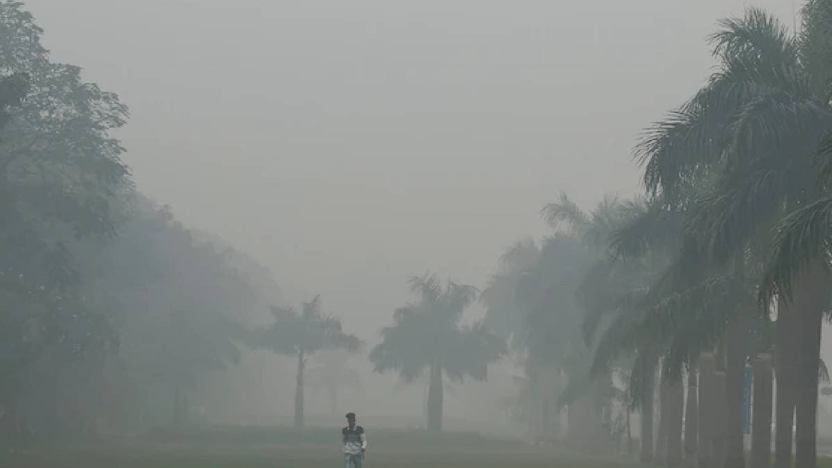 Pollution Chokes Delhi, New Restrictions In Place, Schools Go Online gnr