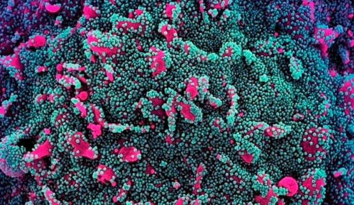 Centre's Guidelines On New COVID-19 Variant