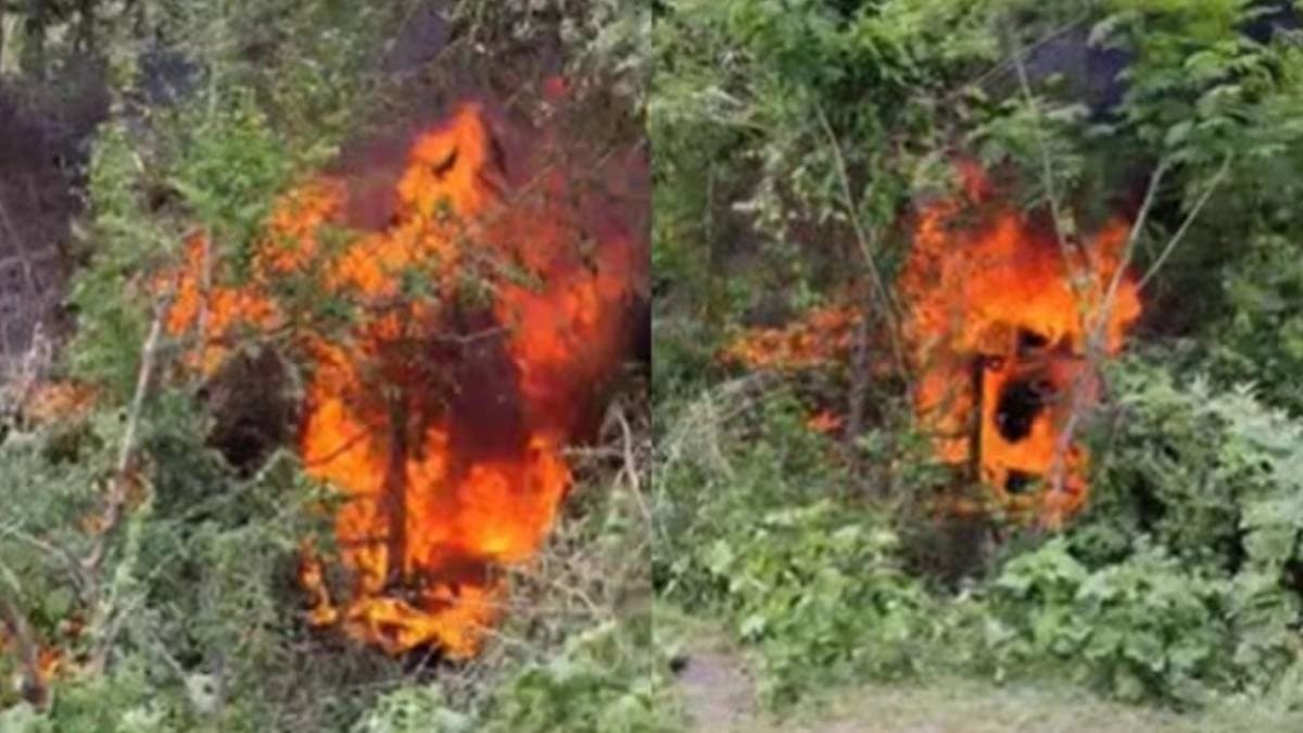 Road accident claimed seven lives in gujarat