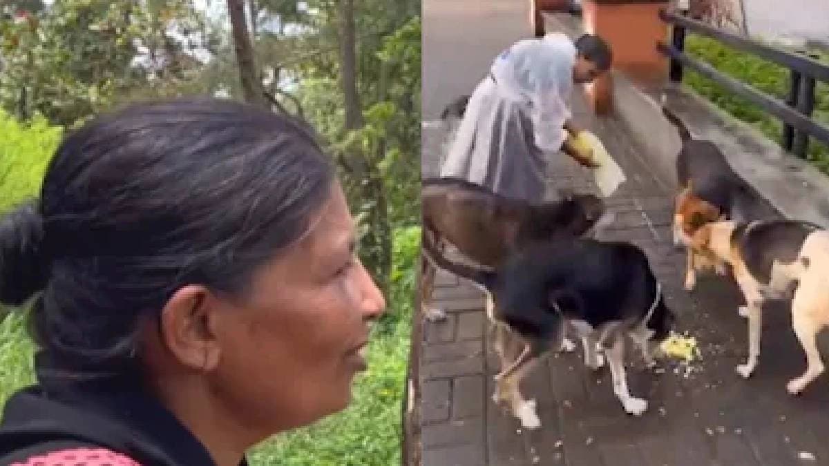  This Goa Woman’s Daily Mission Is To Feed 300 Hungry Pups