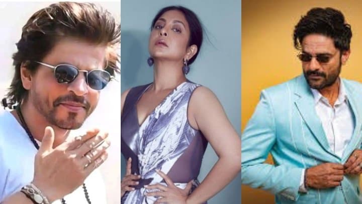 Bollywood: সম্মানিত 'কিং খান', শেফালি জয়দীপের নতুন ইনিংস