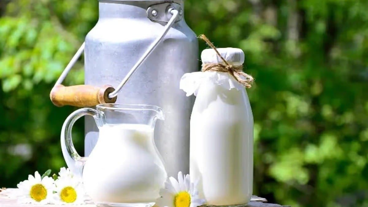 Donkey milk is the most expensive milk in the world do you know the price