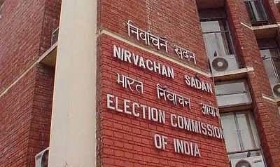 ec appoints special observer