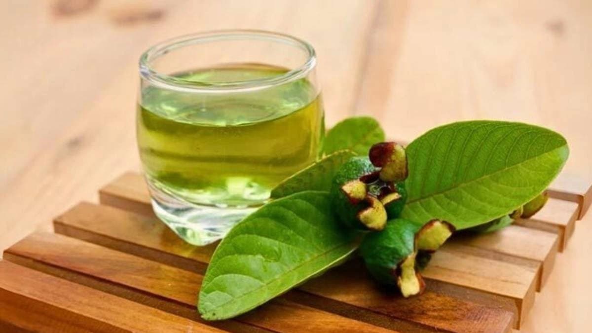 Diabetes Management: Guava leaves help to control blood sugar levels