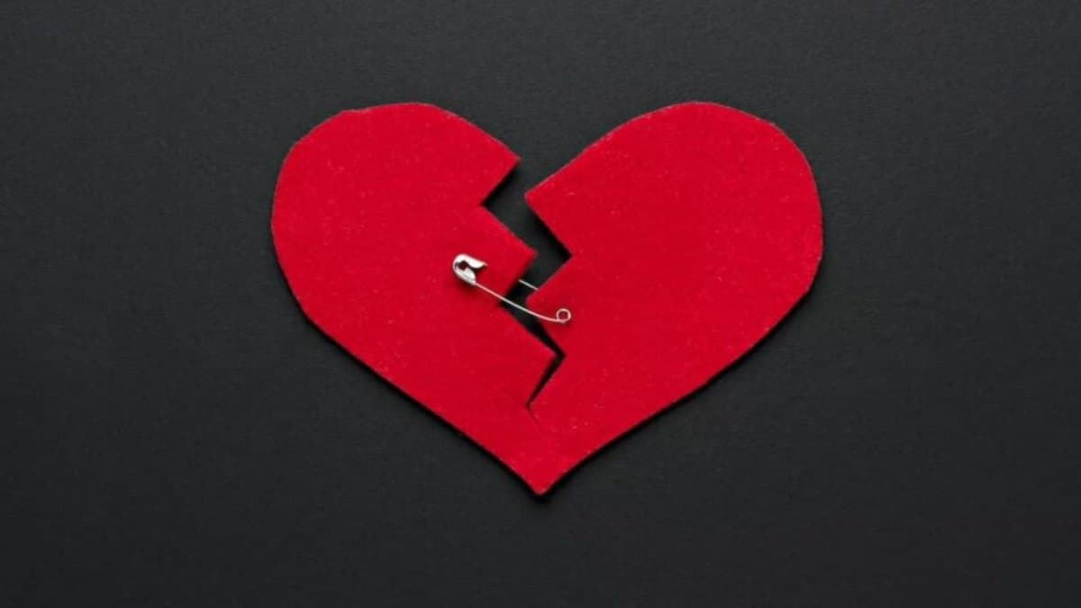 Man faked love with his nanny to bring his ex-wife what happened next