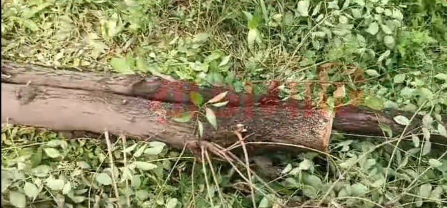 Chandan Kath Theft in Purulia Ashram