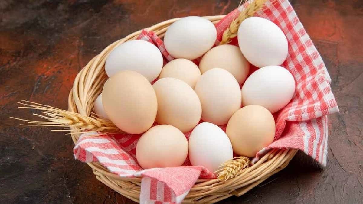 How many eggs should eat per day is good for Health