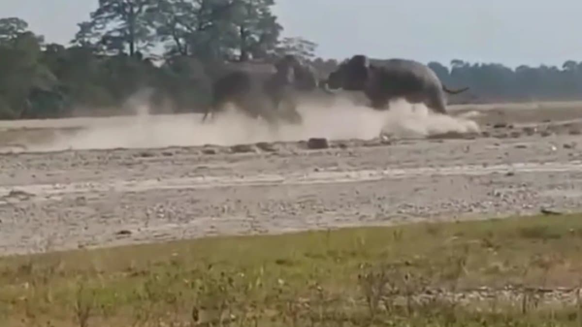 Tuskers engaged in fight for leadership in jalpaiguri gnr