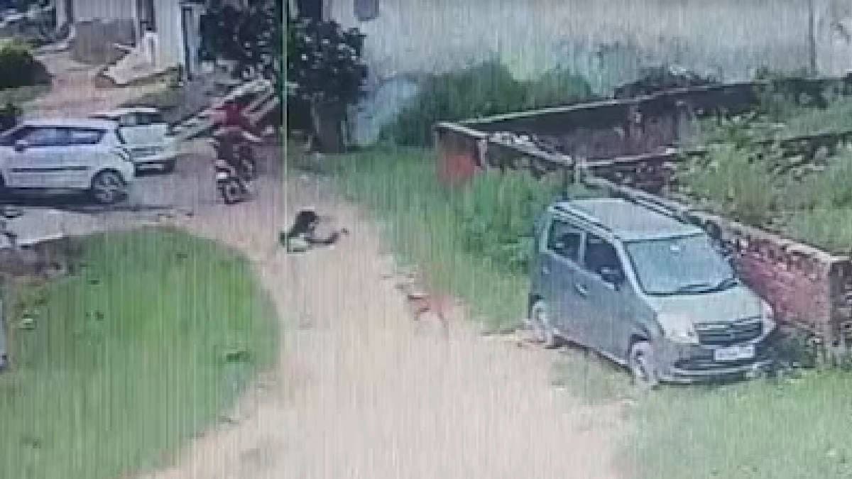  8-Year-Old Attacked By Stray Dog Without Provocation In UP