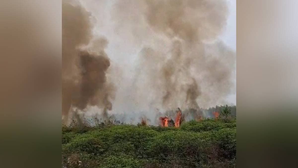 Fire breaks out at a forest in North Bengal