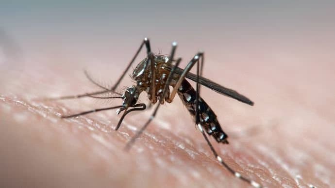 Karnataka records on dengue gnr 