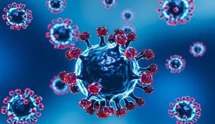  32 Die Of Chandipura Virus in Gujarat gnr 