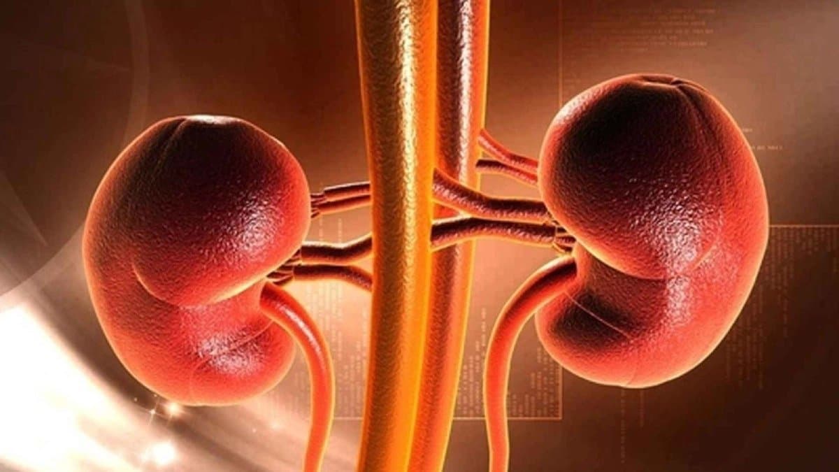 Turmeric can protect kidney Health and it has many health benefits 