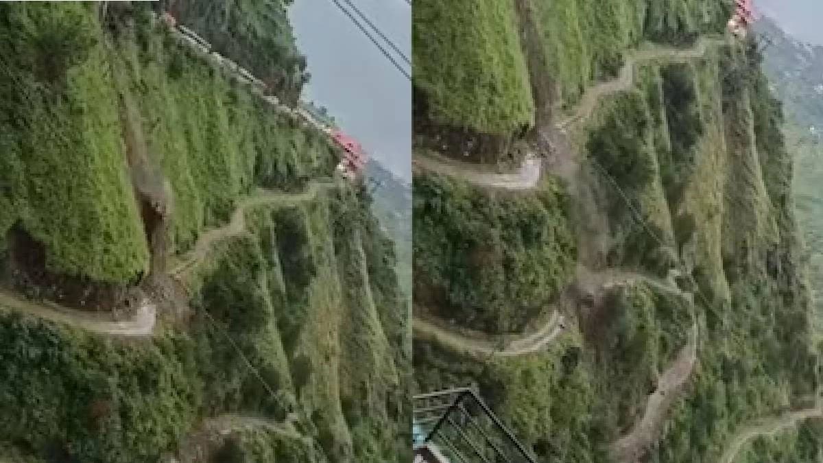 Terrifying Video Shows Bulldozer Falling 300 Metres Into Gorge In Shimla 