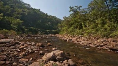 No Road No Ambulance: Family Carried Woman Body In Doli For 12 KM Through Forest 