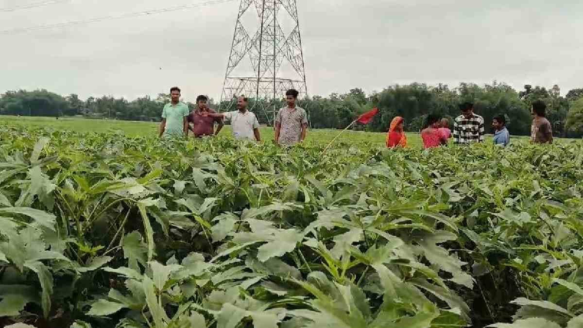 Lighting claimed life of a farmer in North Bengal