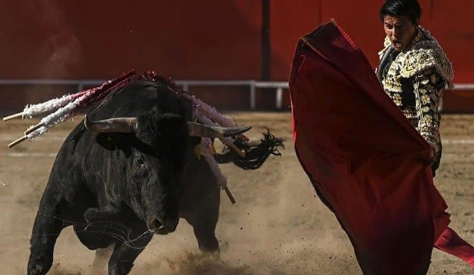Colombia Ban Bullfighting 