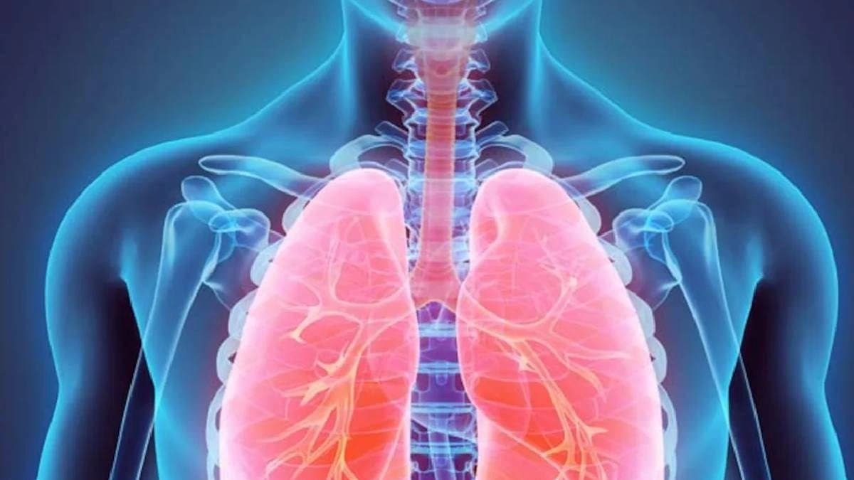 Lung cancer cause and symptoms decode the risks