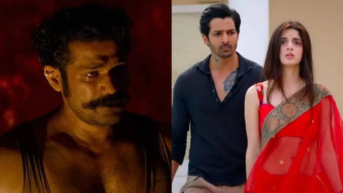 ‘তুম্বাড়’ থেকে ‘সনম তেরি কসম’, কোন কোন ছবি পুনর্মুক্তির পর কাঁপাল বক্স অফিস? 