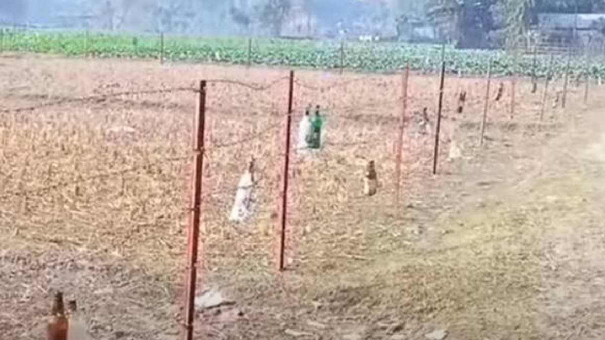 Bsf hang glass bottle on fencing on indo bangla border gnr