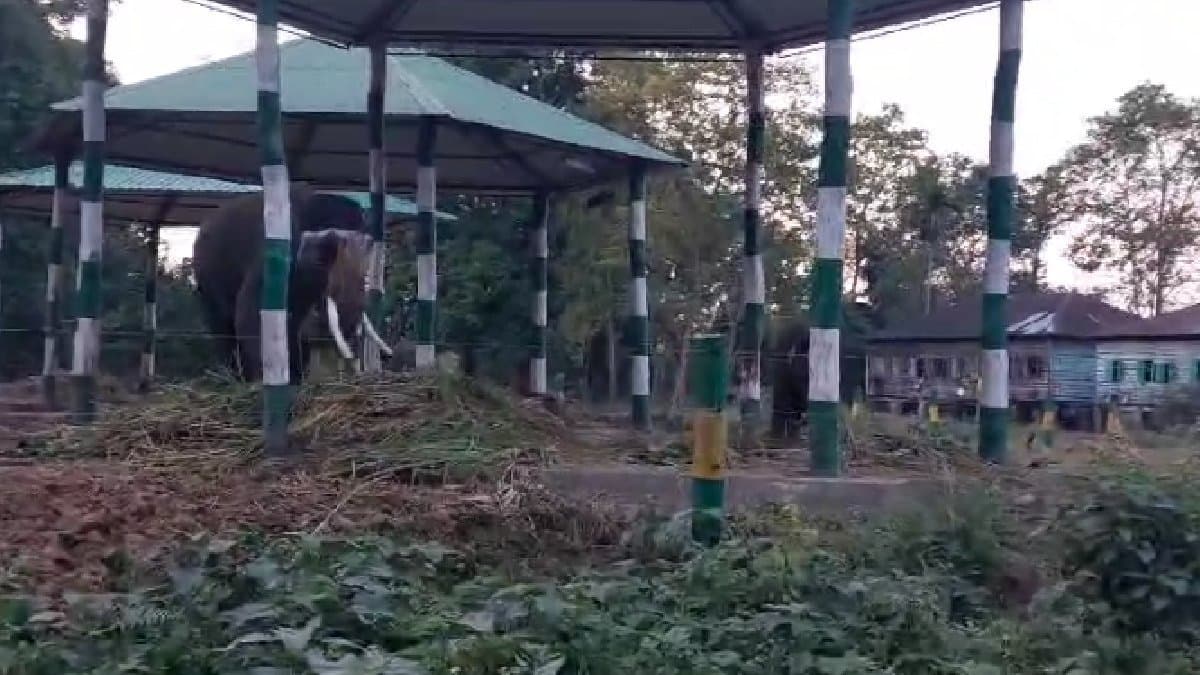 In dooars tourists will be taken to deeper forest at garumara gnr