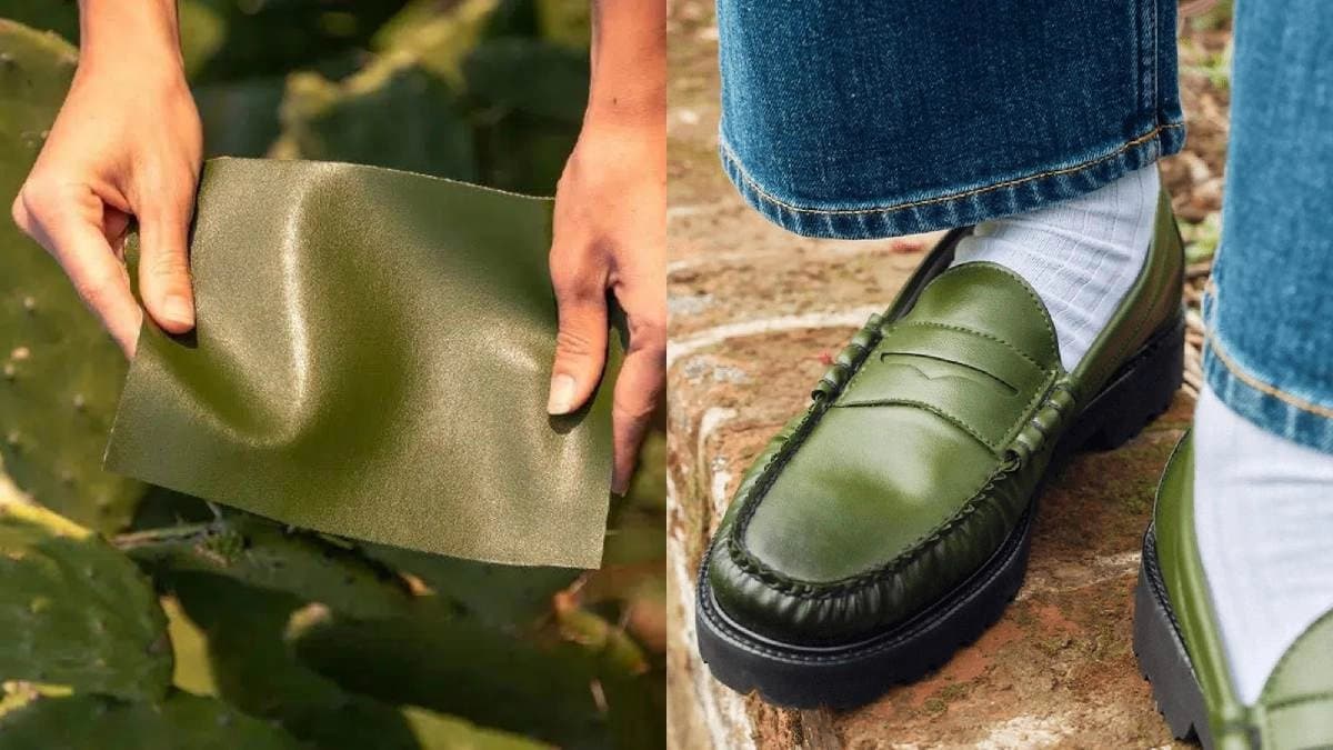 Two Mexican entrepreneurs create Vegan Leather from Cactus could revolutionise fashion industry