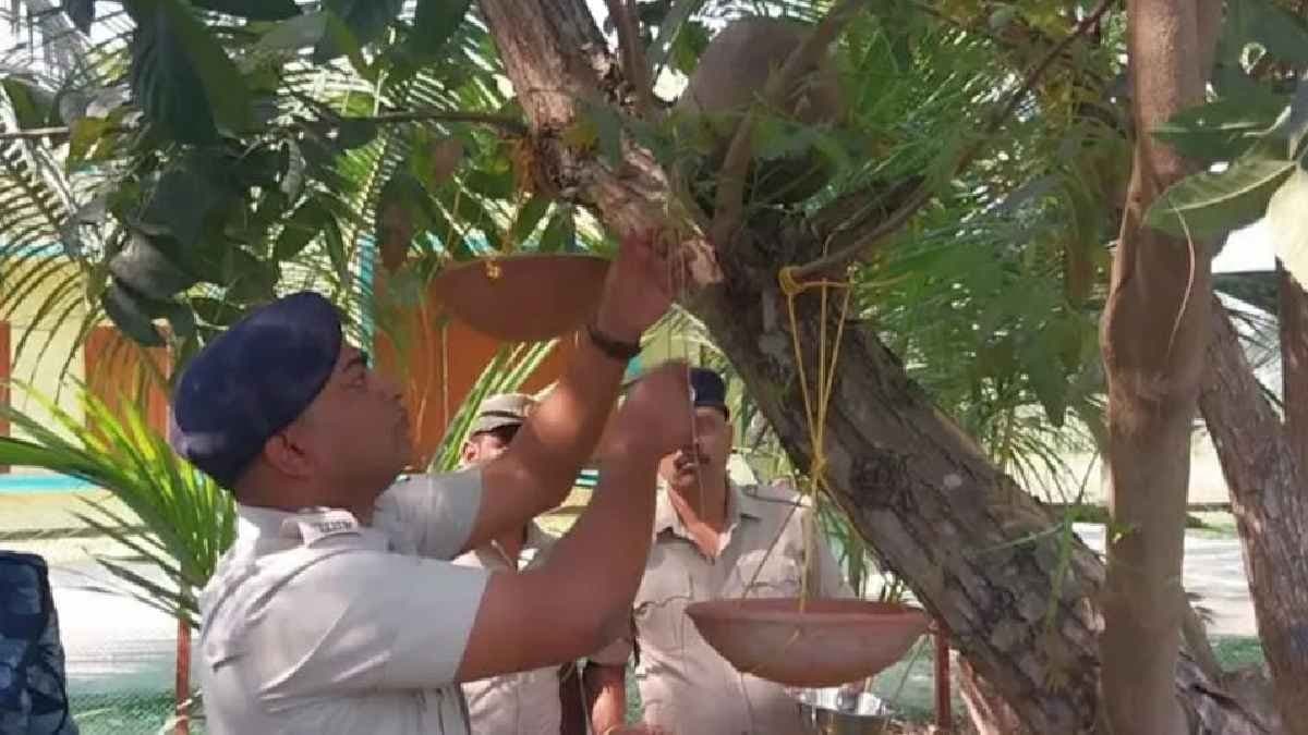 Chirping of birds in the police station makes different ambience